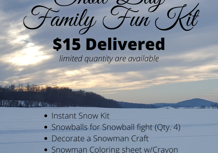 Snow Day Family Fun Kit