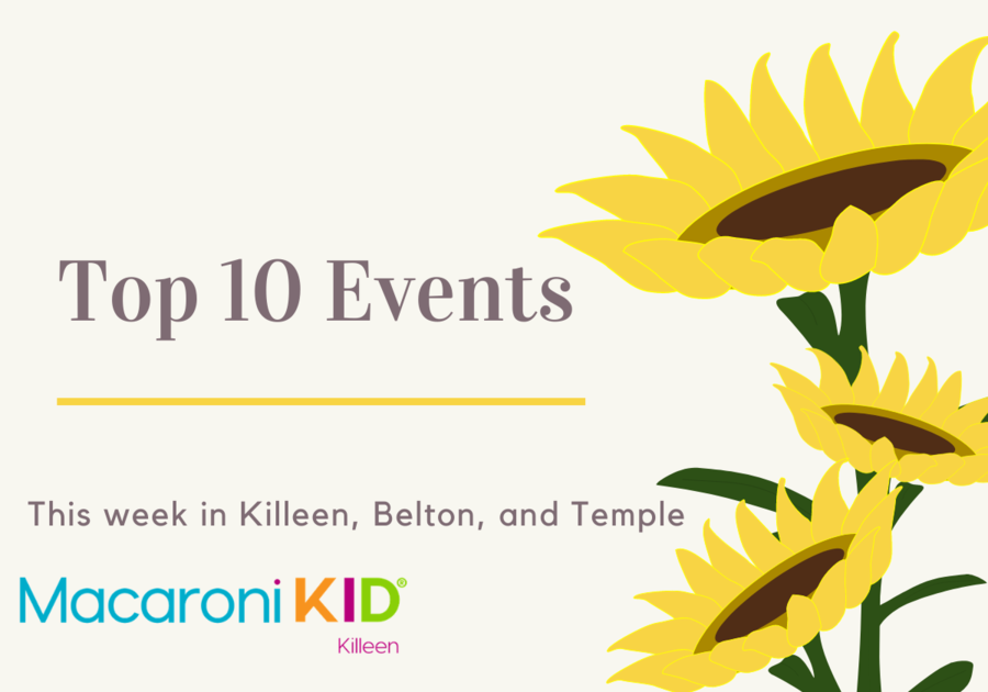 three sunflowers on a white background with the words top 10 events in killeen, belton, and temple macaroni kid killeen