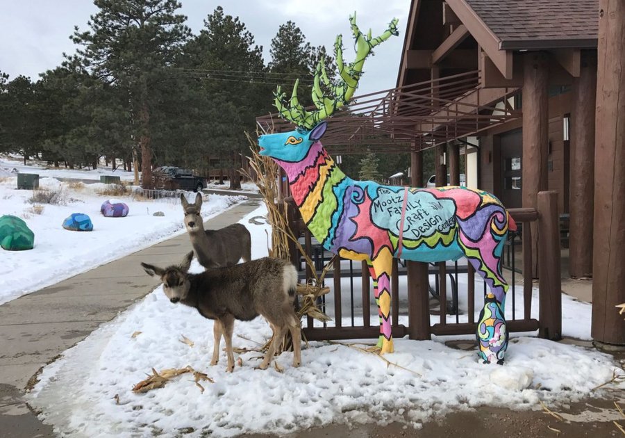 YMCA of the Rockies Estes Park