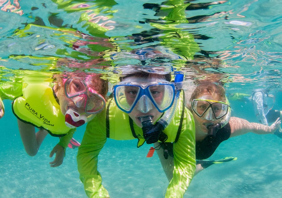 Pura Vida Diver's: Eco Snorkel Camp