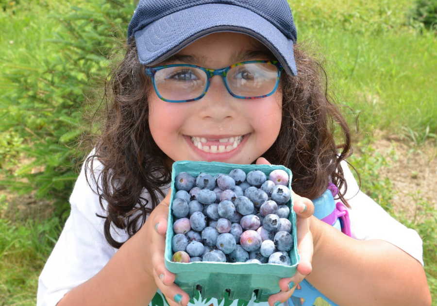 child with glasses; blueberries; summer; blueberry picking