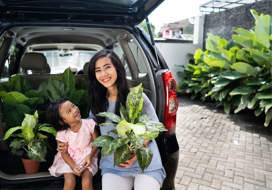 Woman and young child loading plants in the truck of their car