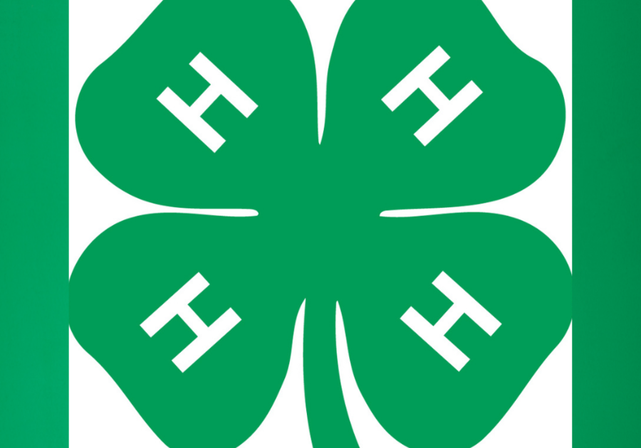 Louisiana 4H