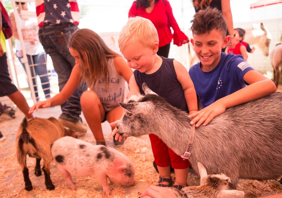 WINNER! Alameda County Fair Returns with New Ride & Delicious Food