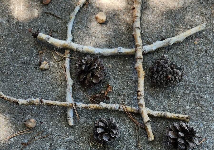 Nurtured by Nature Exploratory School: A Mobile Forest School