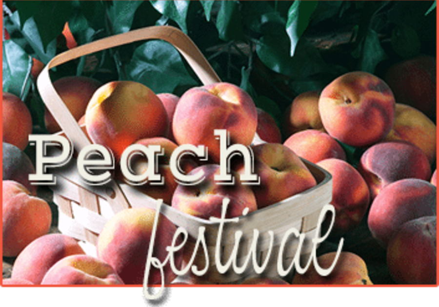 Paulus Mt. Airy Orchards Peach Festival Macaroni KID North York