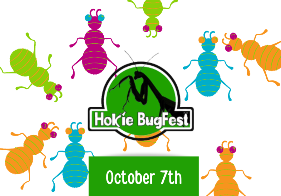 Hokie BugFest Bug Lovers for the 13th Year On October 7th