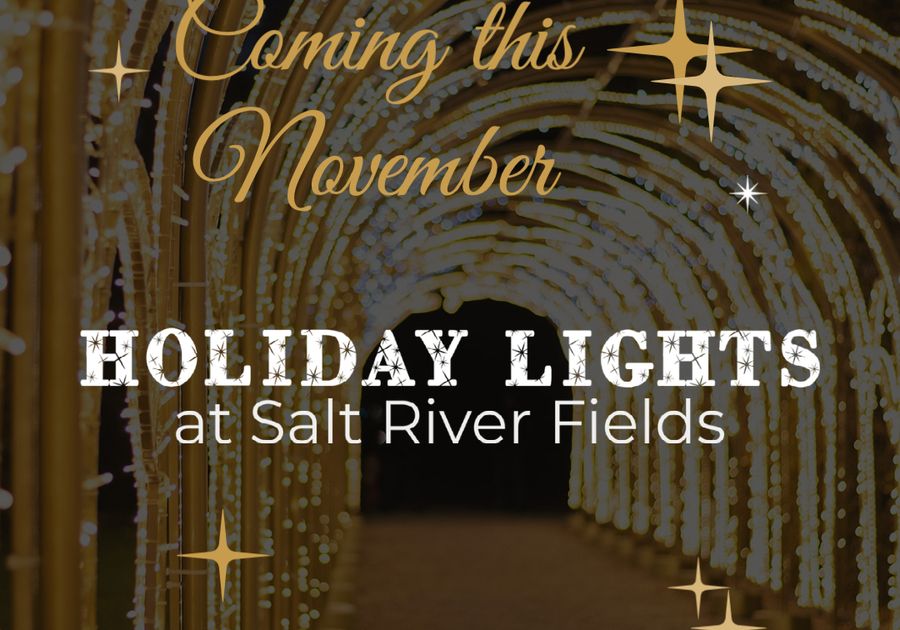 Holiday Lights at Salt River Fields at Talking Stick Macaroni KID