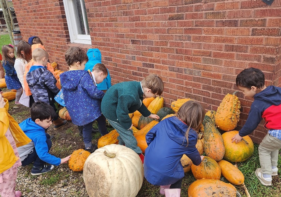 Prek students pumpkin picking