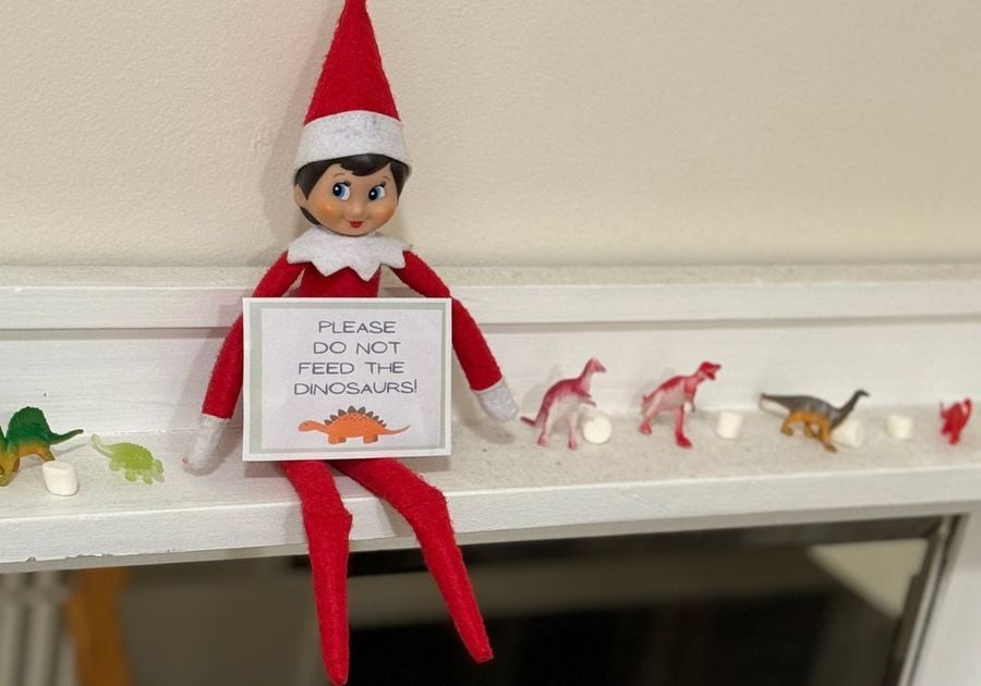 Elf on the Shelf