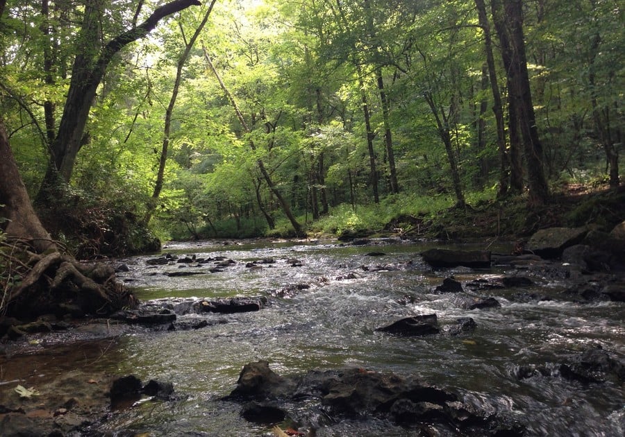 Montevallo to Celebrate Grand Opening of Shoal Creek Park | Macaroni ...