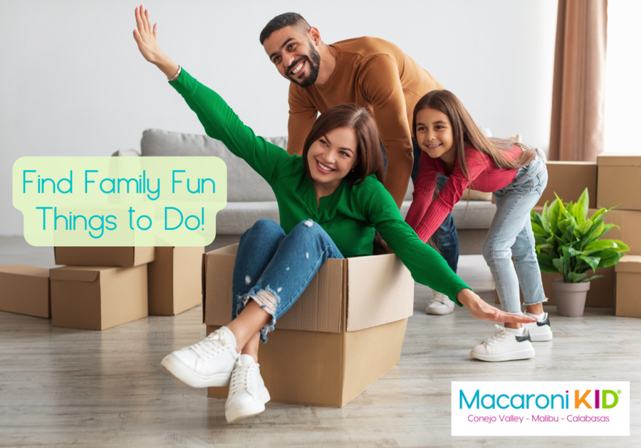 Find Family Fun Things to Do Family having fun with boxes, dad and daughter pushing mom while inside a box holding arms like an airplane