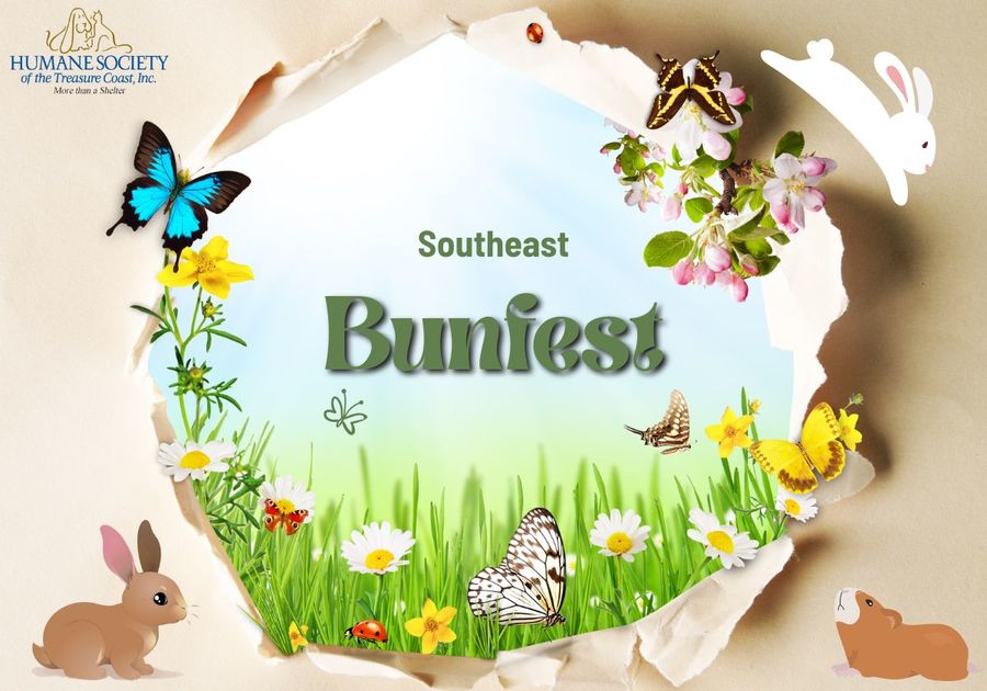 butterflies, bunnies and furry creatures around a circular image of field flowers, grass, etc.