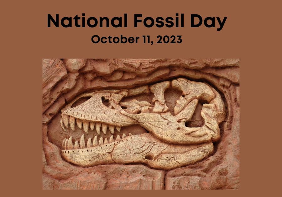 National Fossil Day Thiprot GI 