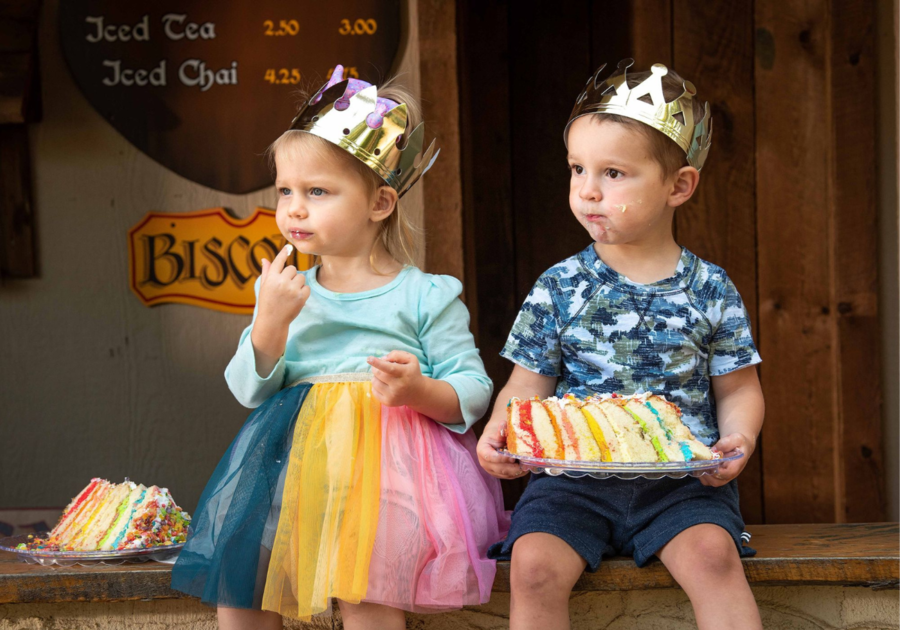 Minnesota Renaissance Festival - Did you know Bold North Vikings