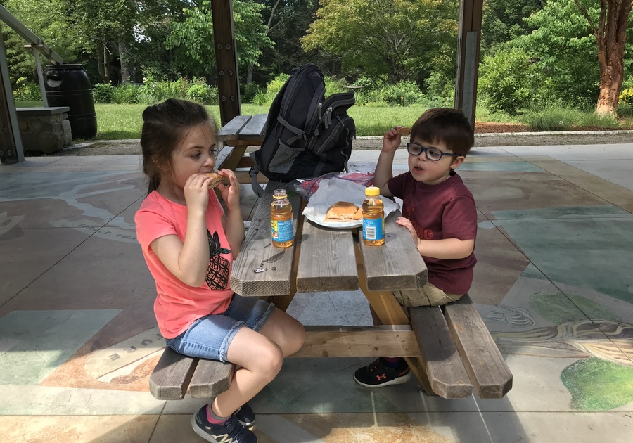 Two children eating lunch at a picnic table.