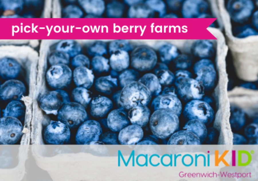 Pick Your Own Berry Farms