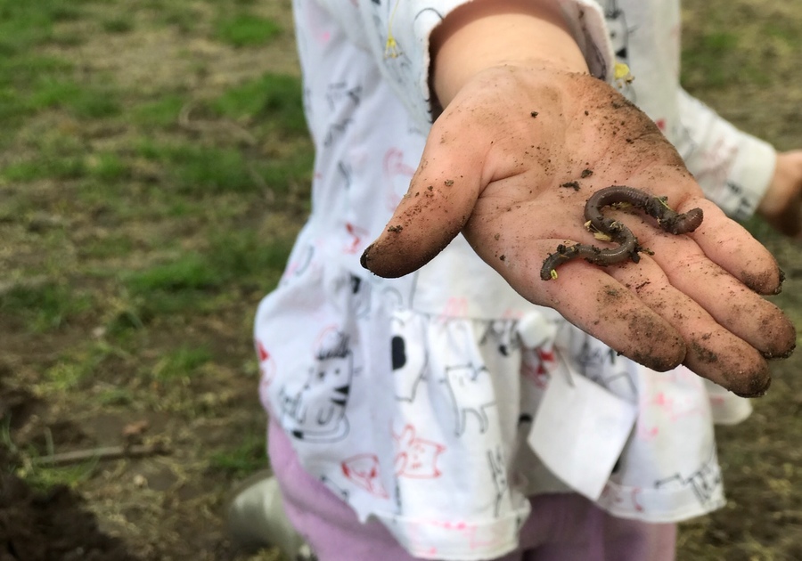 Brooklyn Nature Days