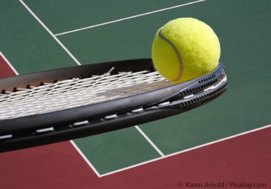 Tennis Ball on Tennis Racquet
