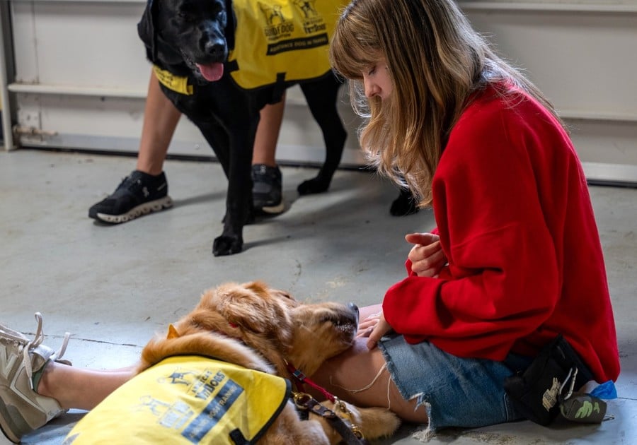 dog laying head in girls' lap