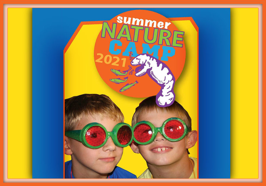 2021 Hobe Sound Nature Center Summer Camp