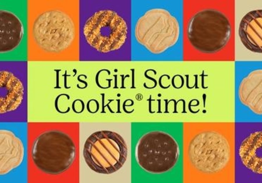 Girl Scout Cookie Cost 2024 Fredi Emmalyn