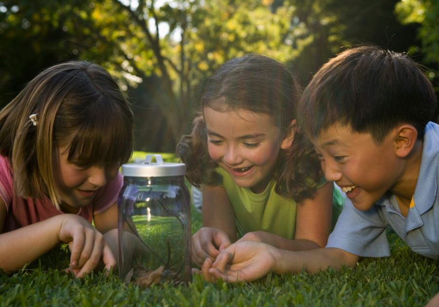 Hokie BugFest Returns to Blacksburg Macaroni KID New River Valley