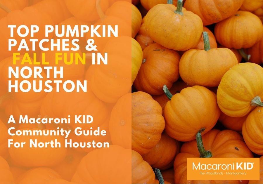 Top Pumpkin Patches & Fall Fun in North Houston, The Woodlands TX Montgomery Family Fun Hayrides Corn Mazes