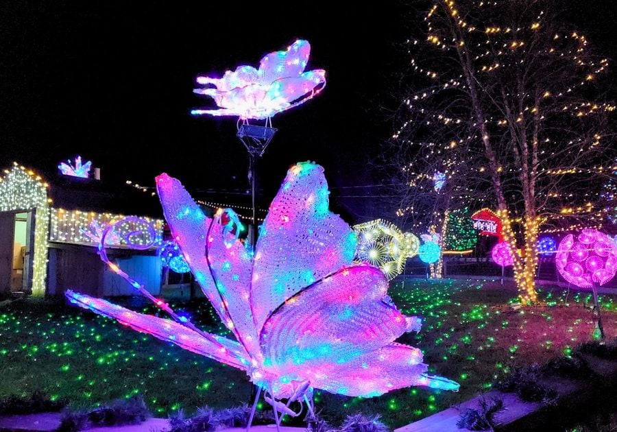 Animal Adventure Park Holiday Lights Jungle Bells Harpursville NY Binghamton Attractions