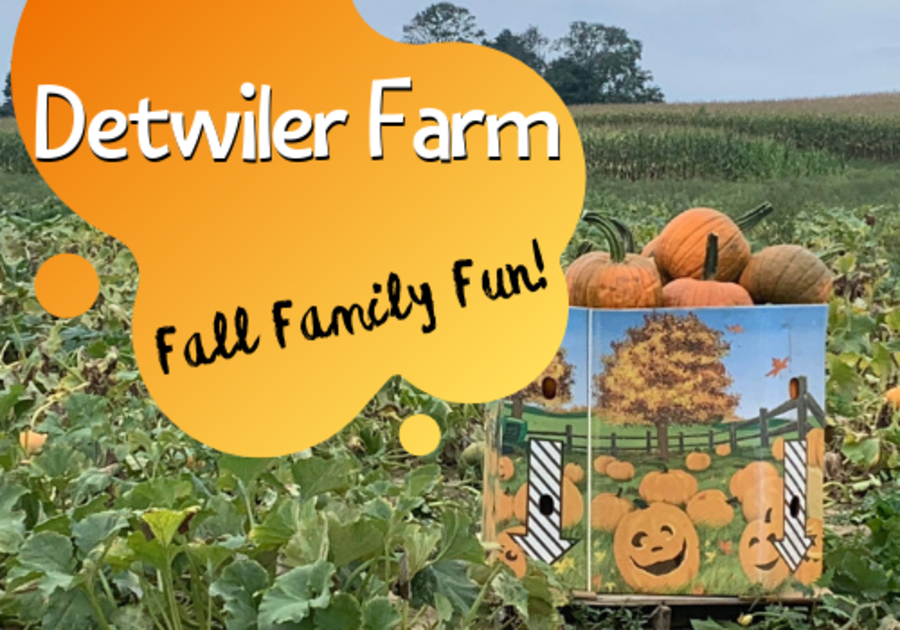 Fall Family Fun at Detwiler Farm
