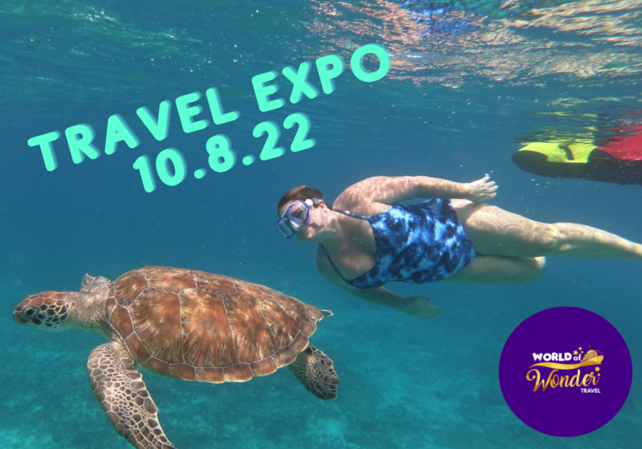 Woman swimming with sea turtle