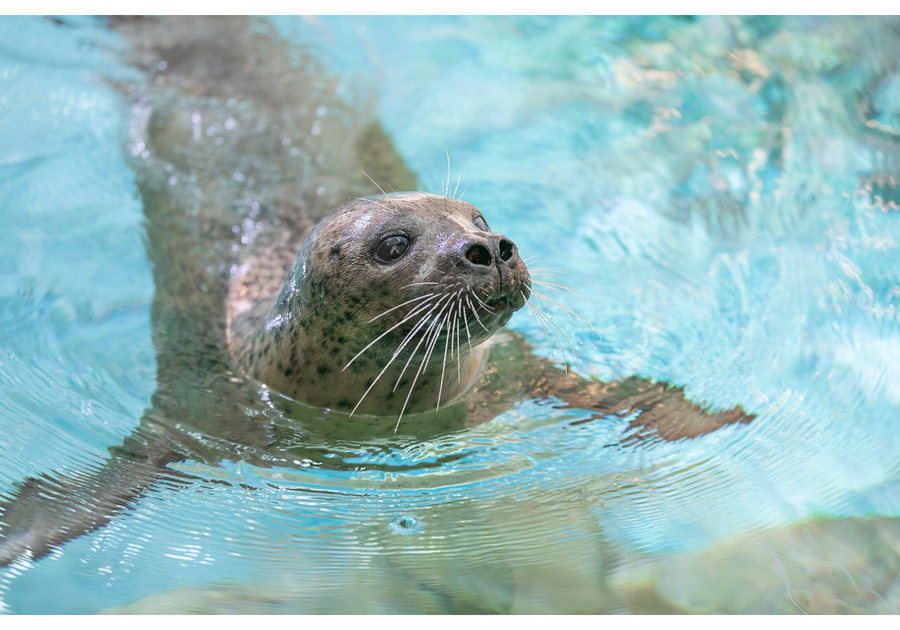 Maritime Aquarium at Norwalk