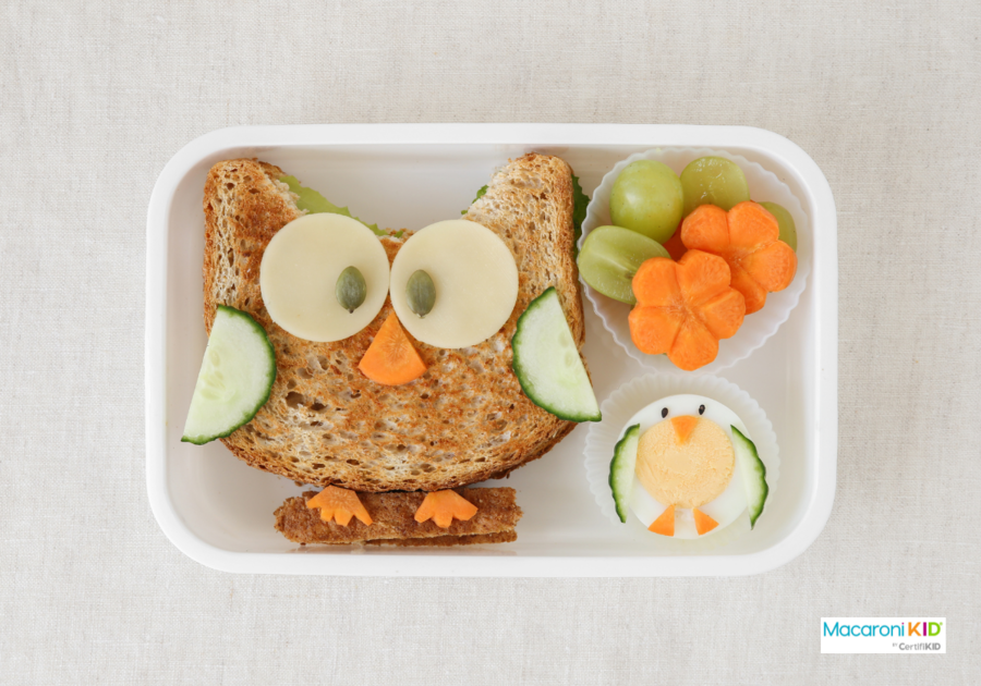 Owl healthy sandwich lunch box, fun food art for kids