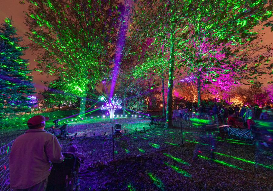 Illumination: Tree Lights at The Morton Arboretum