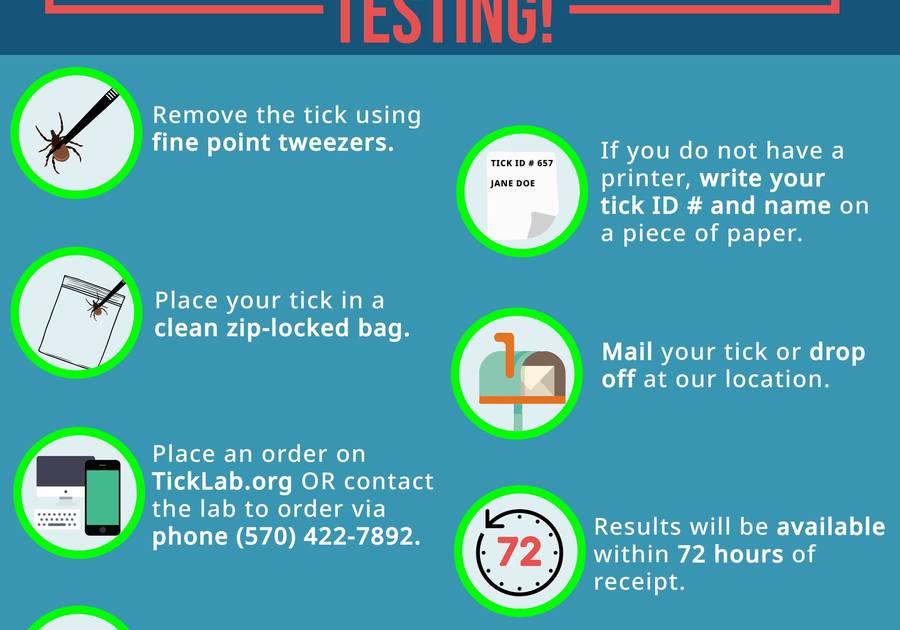 A step-by-step guide on correctly submitting a tick for testing, including using tweezers, zip-lock bags, order forms, mailing instructions, and testing timelines.