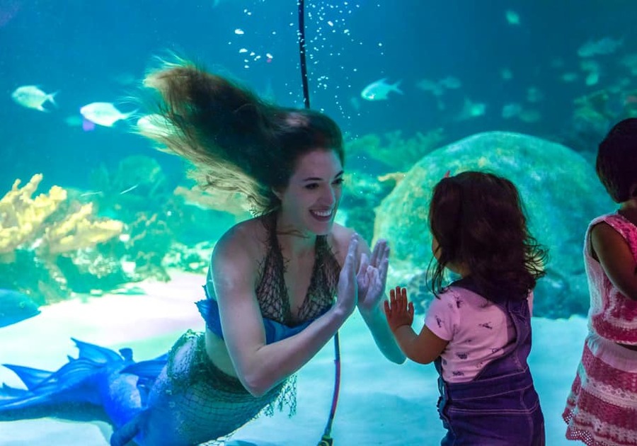 Kids Mermaid Makeup - Transform into Magical Mermaids