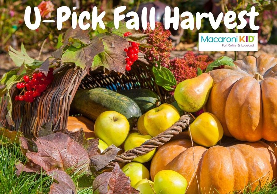 U Pick Fall Harvest
