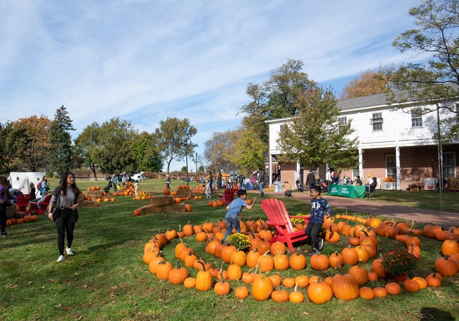 Pumpkin Point  at Governor's Island