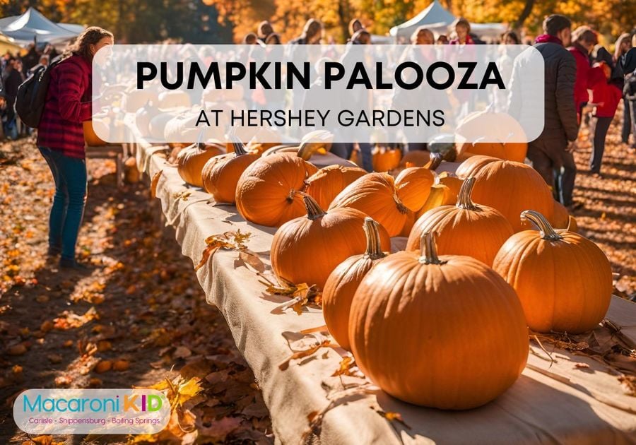 Pumpkin Palooza