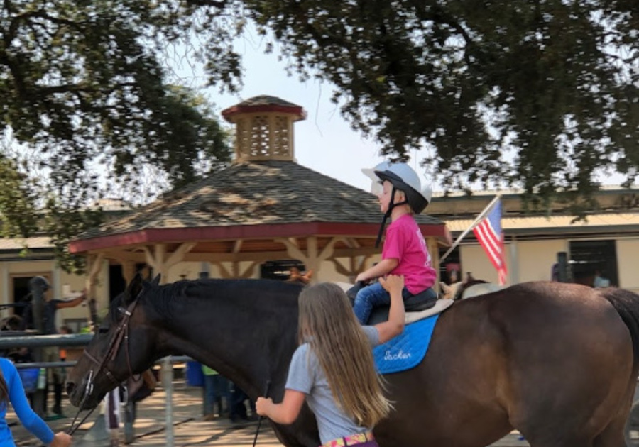 Equine Unlimited Inc. Horsemanship Camp