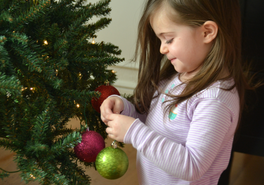 Find a Christmas Tree in Central Massachusetts