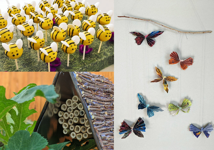 insects, bugs, pollinators, DIY projects, crafts, bees, butterflies