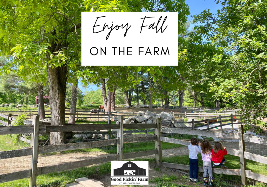 Enjoy Fall on the Farm