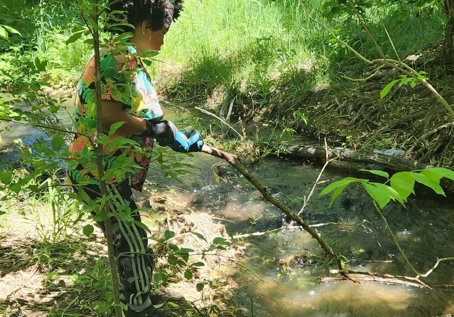 Nurtured by Nature Exploratory School: A Mobile Forest School