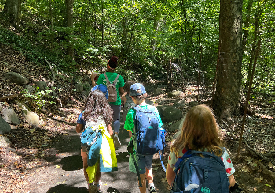 Trail Blazers Summer Camp