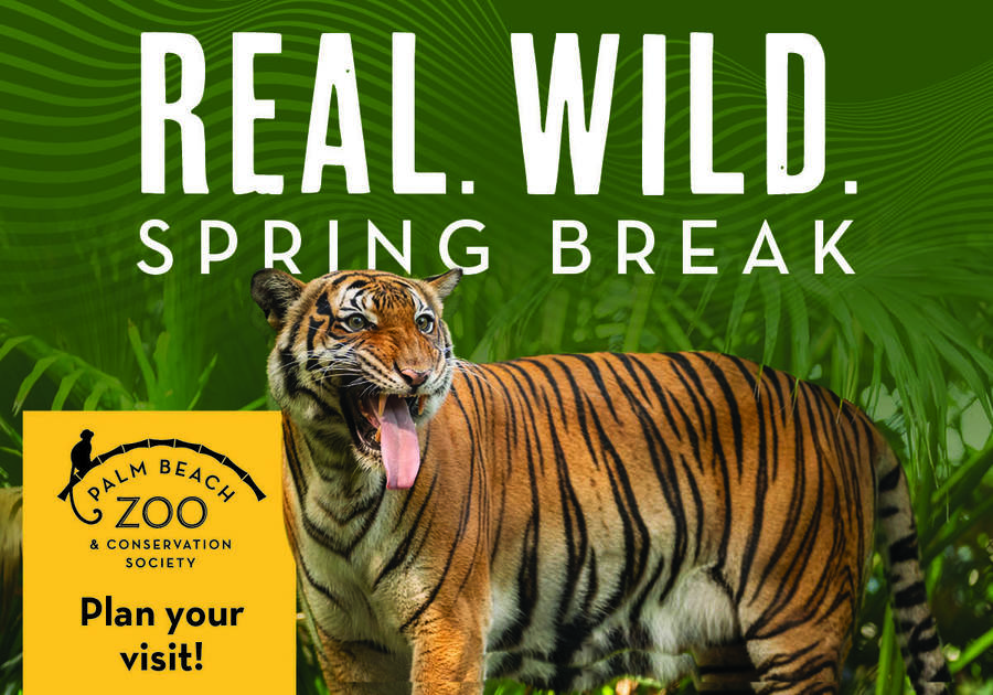 Spring Break with Palm Beach Zoo & Conservation Society