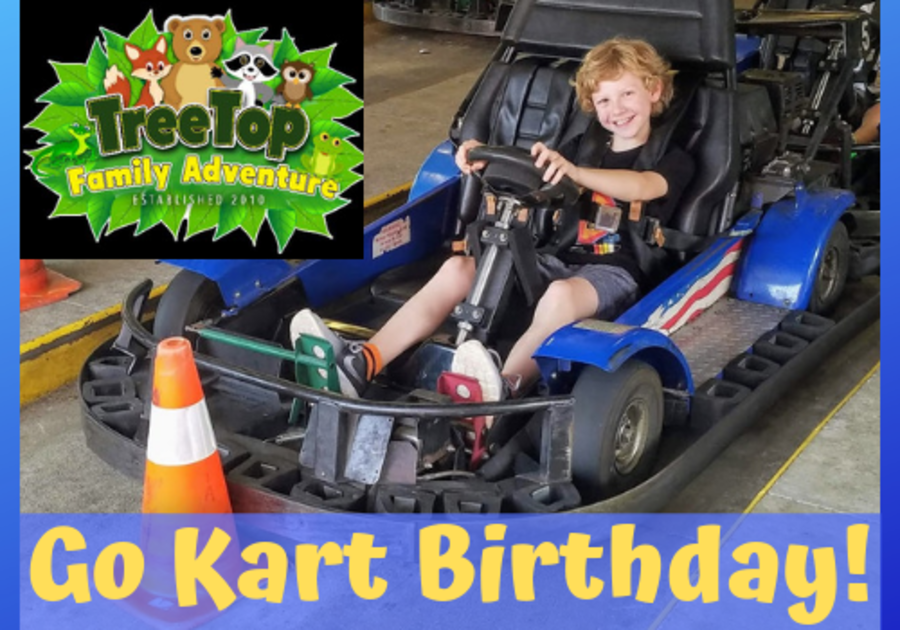 Review of TreeTop Family Adventure for birthday parties - go karts, arcade, mini golf, near Birmingham, Alabama