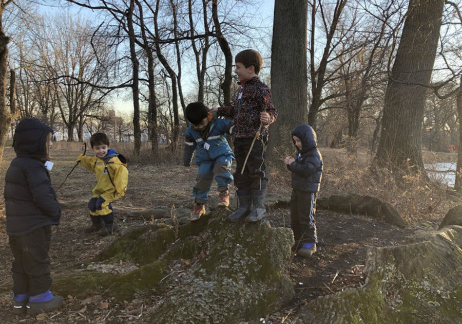 Brooklyn Nature Days