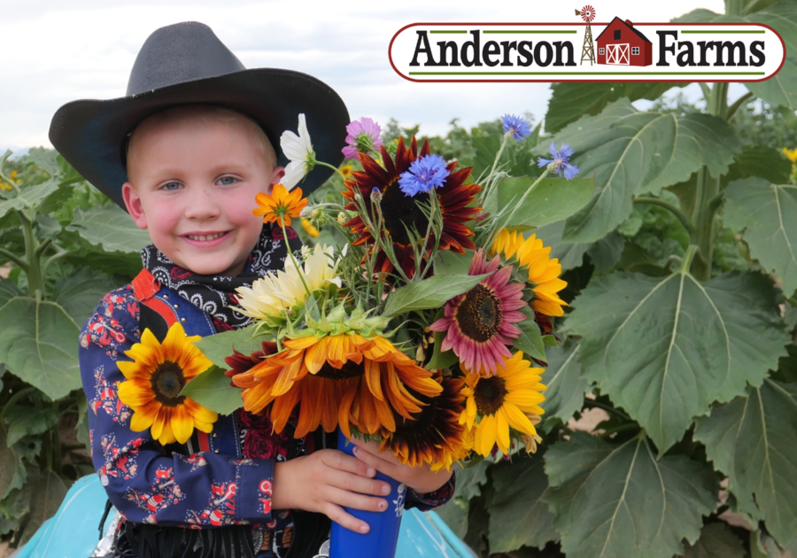 Anderson Farms U Pick