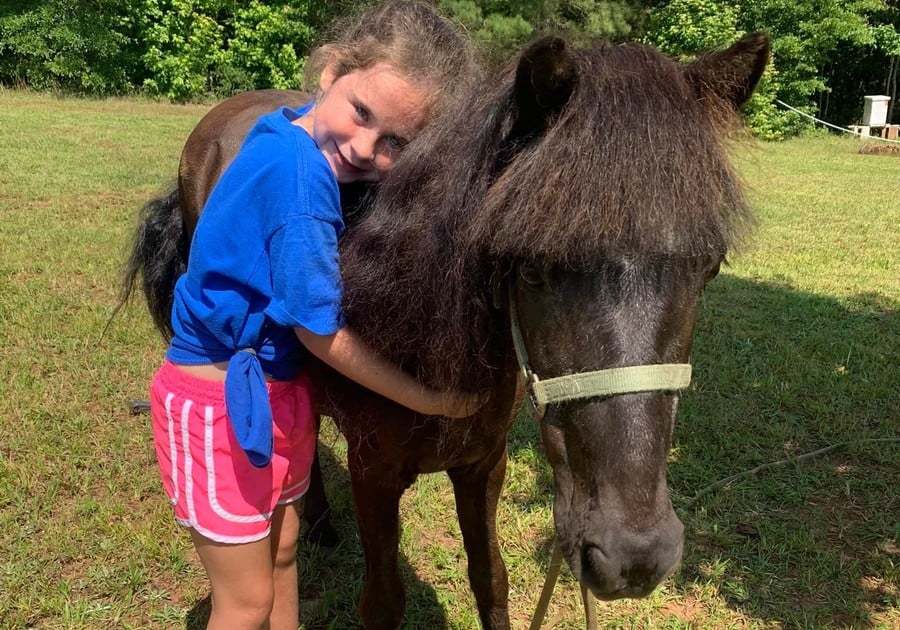 girl hugging small horse